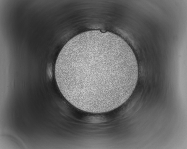X0000093390069200711081614