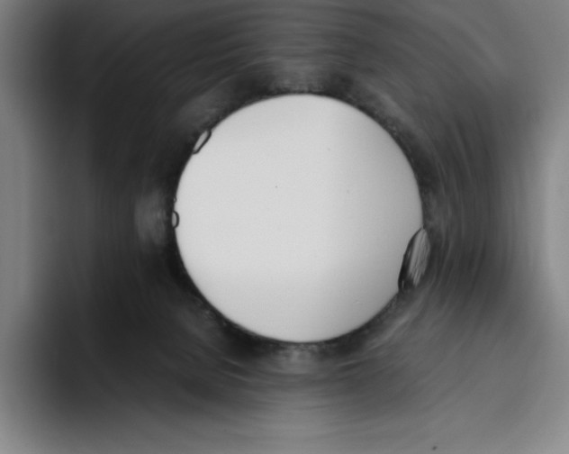 X0000093390080200711081614