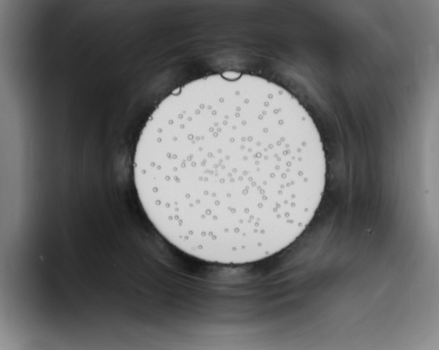 X0000093390081200711081614