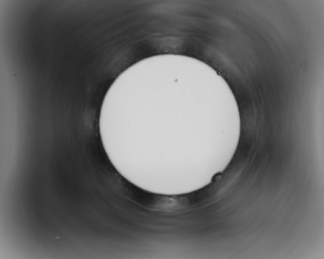 X0000093390083200711081614