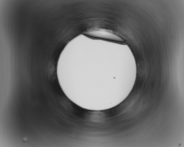 X0000093390087200711081614