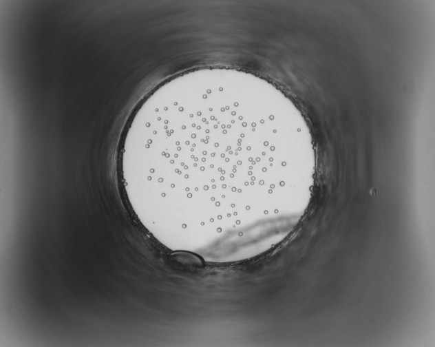 X0000093390099200711081614
