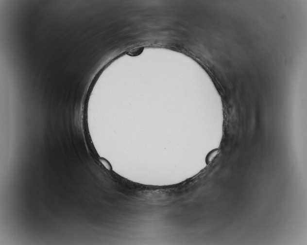 X0000093390100200711081614