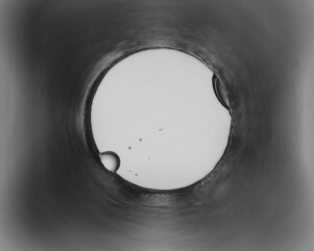 X0000093390104200711081613