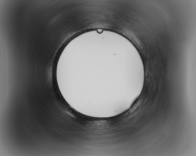X0000093390108200711081613