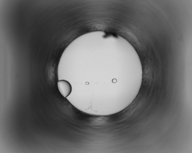 X0000093390122200711081613