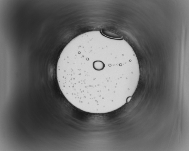 X0000093390123200711081613