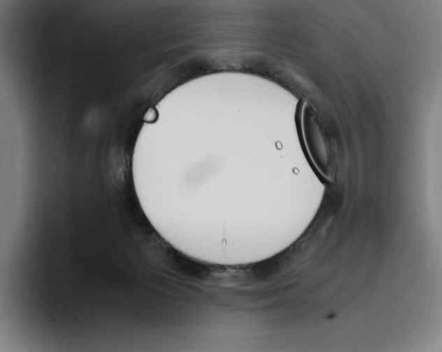 X0000093390125200711081613