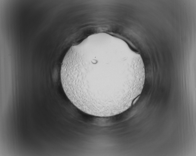X0000093390139200711081613