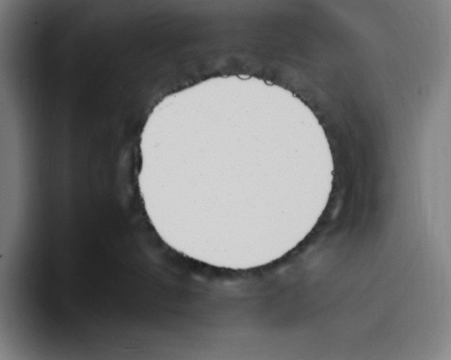 X0000093390144200711081613