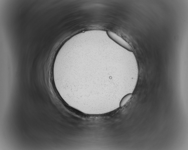 X0000093390145200711081612