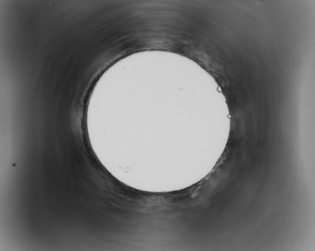 X0000093390146200711081612