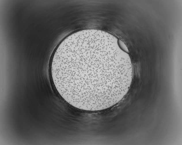 X0000093390147200711081612