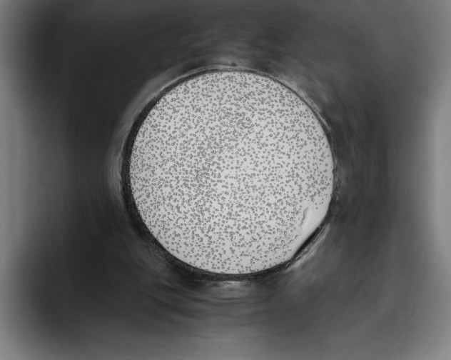 X0000093390151200711081612