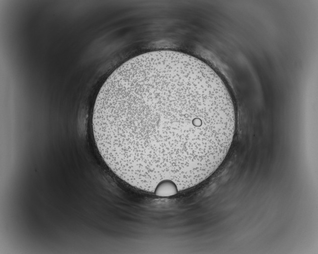 X0000093390153200711081612