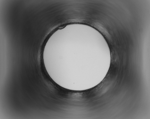 X0000093390156200711081612