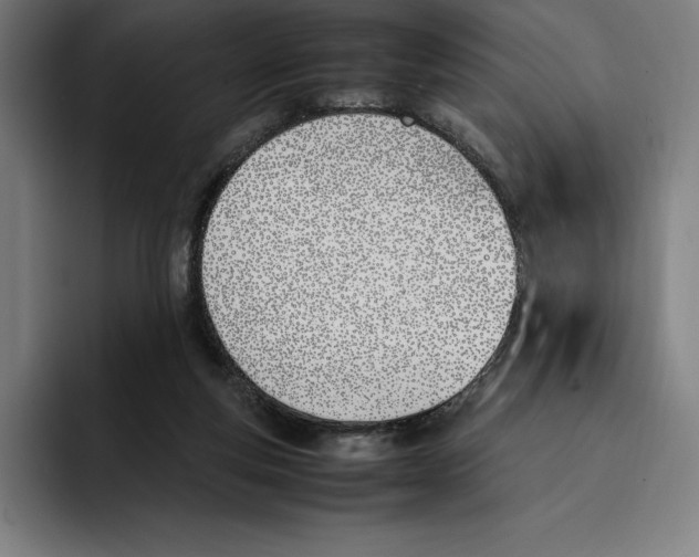 X0000093390163200711081613