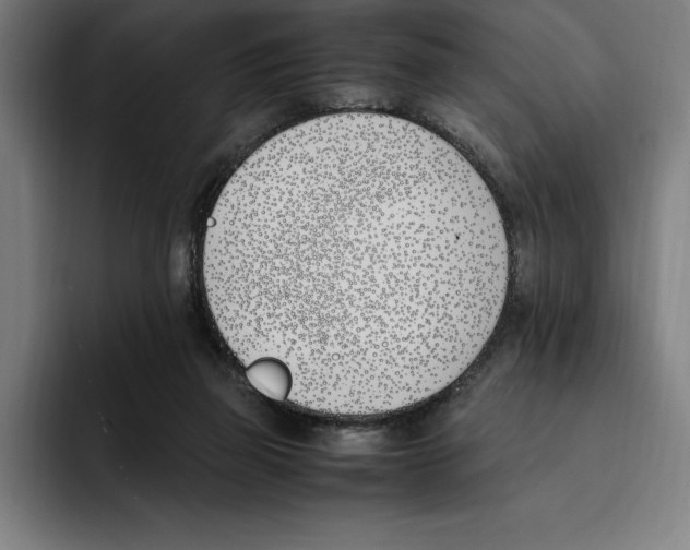 X0000093390165200711081613