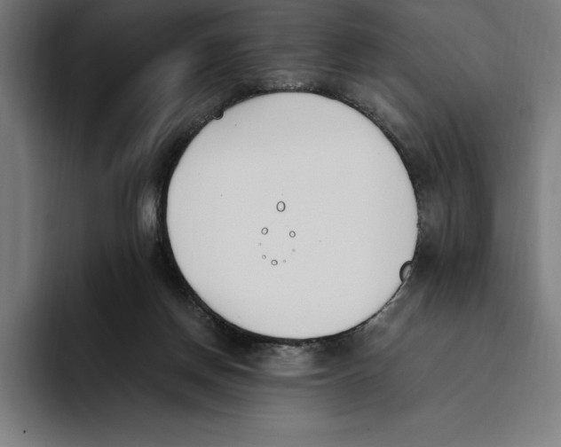 X0000093390166200711081613
