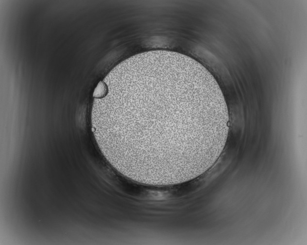 X0000093390167200711081613