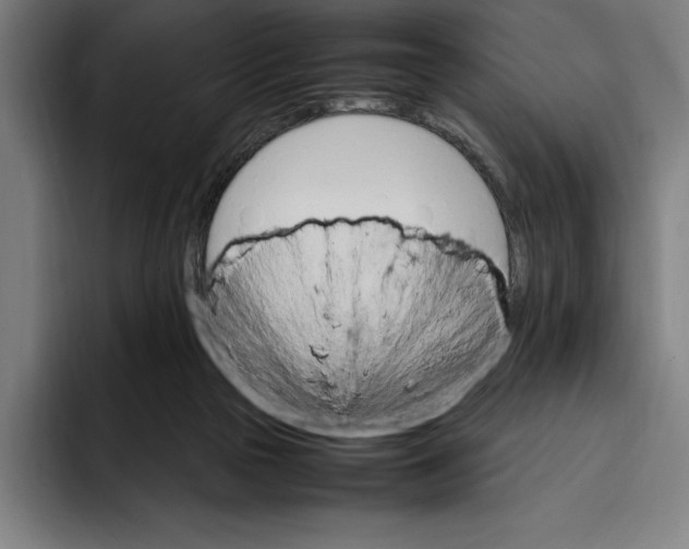 X0000093390169200711081613
