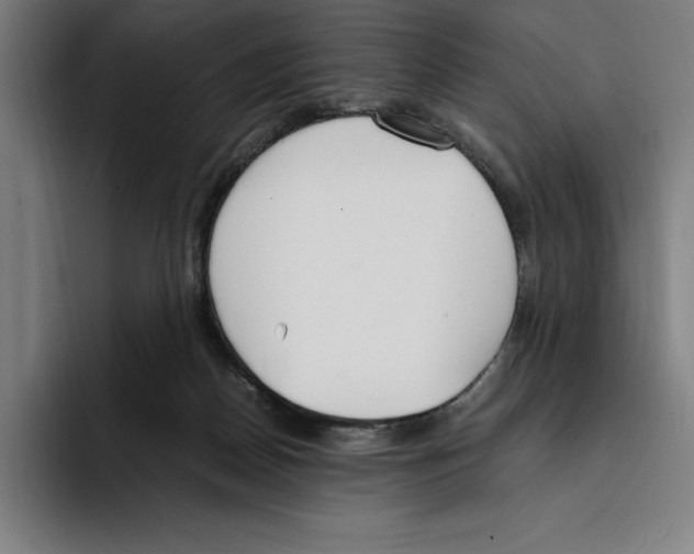 X0000093390170200711081613
