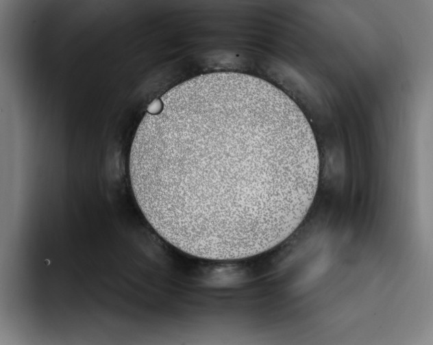 X0000093390173200711081613