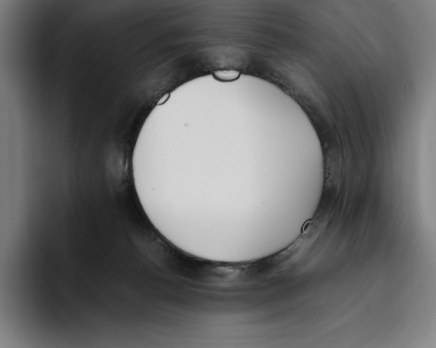 X0000093390176200711081613