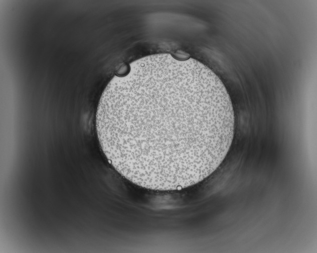 X0000093390177200711081613