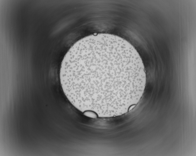 X0000093390182200711081613
