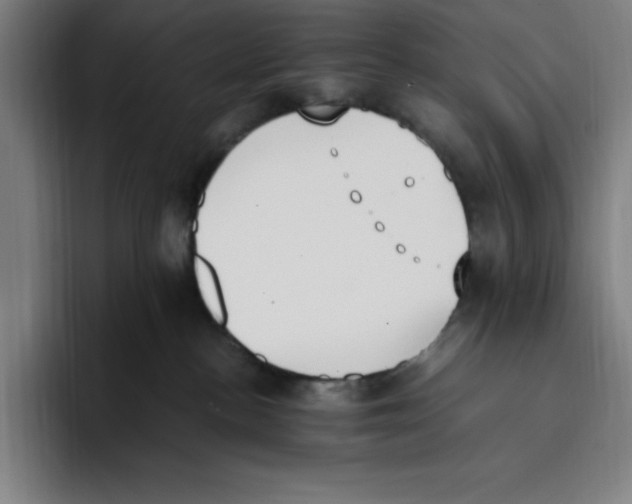 X0000093390188200711081613