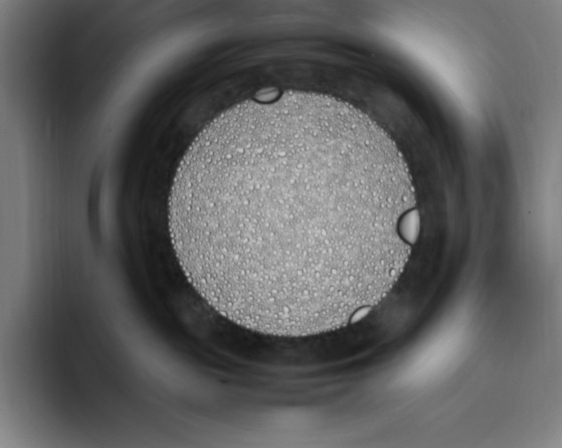 X0000093390189200711081613