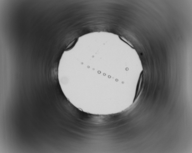 X0000093390190200711081613