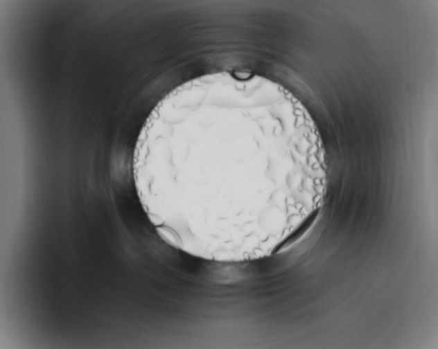 X0000093390191200711081613