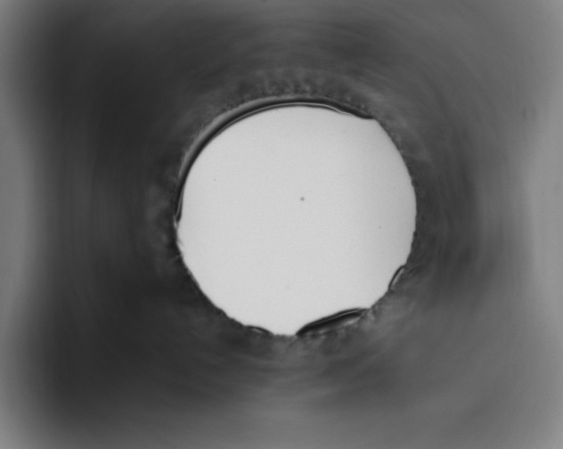 X0000093390192200711081613