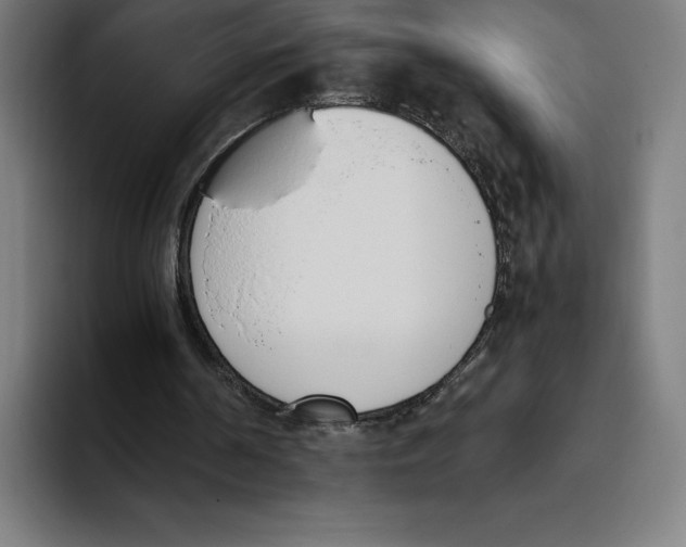 X0000093390194200711081612