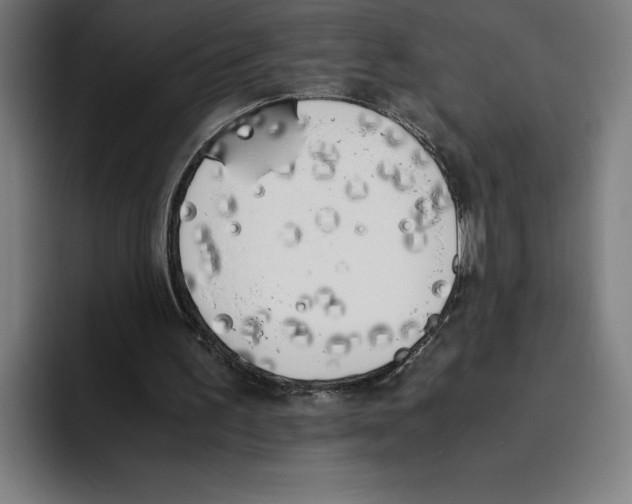 X0000093390195200711081612