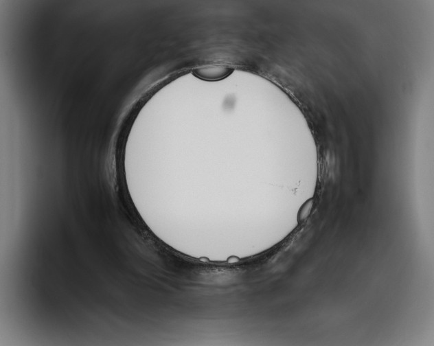 X0000093390198200711081612