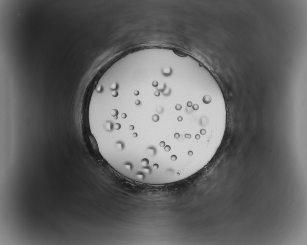 X0000093390199200711081612