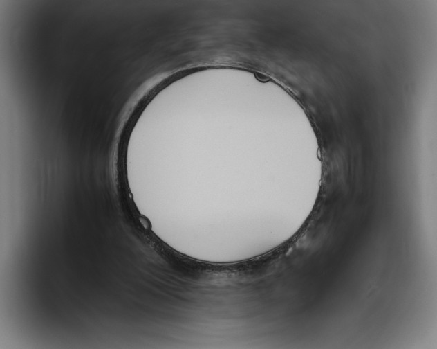 X0000093390200200711081612