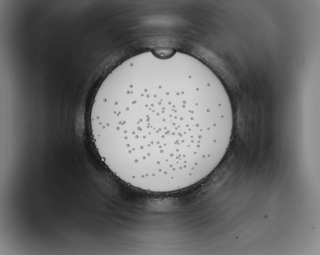 X0000093390202200711081612