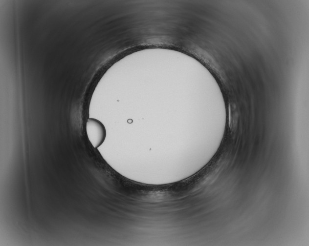 X0000093390204200711081612