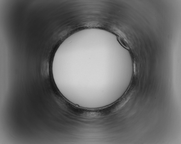 X0000093390205200711081612