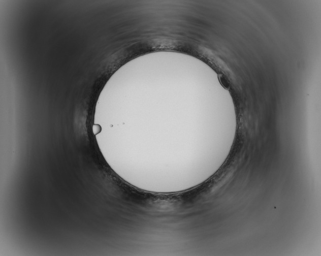 X0000093390209200711081612