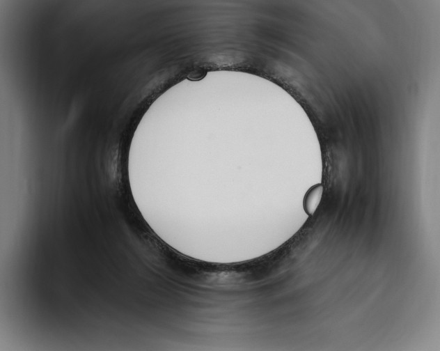 X0000093390212200711081612