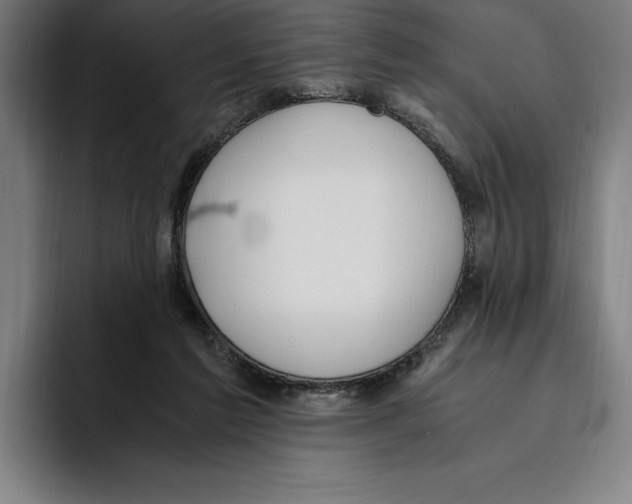 X0000093390213200711081612