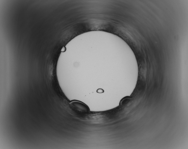 X0000093390219200711081612