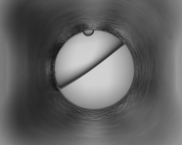 X0000093390221200711081612