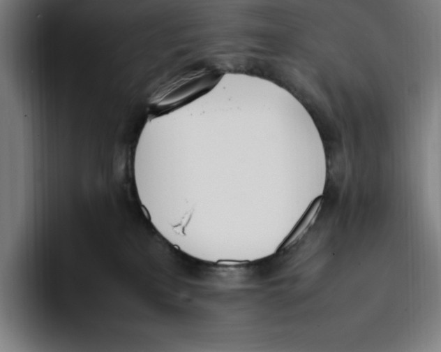 X0000093390233200711081612