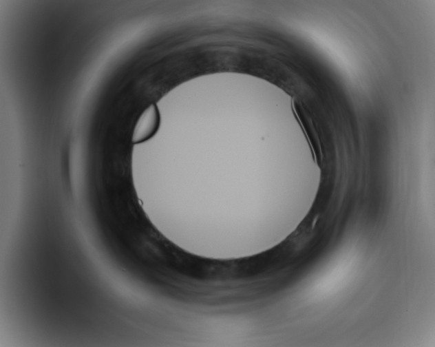 X0000093390239200711081612